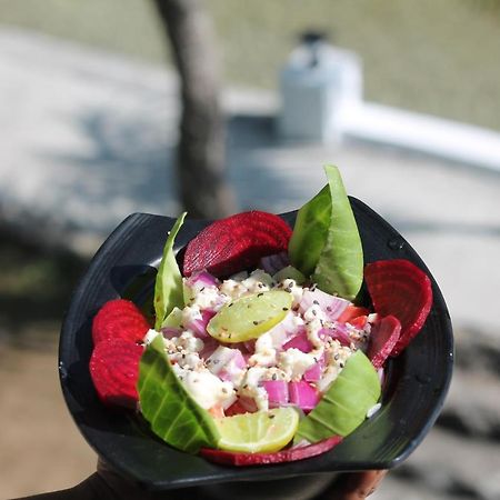 Shivanjal Wellness And Accommodation Rishikesh Luaran gambar